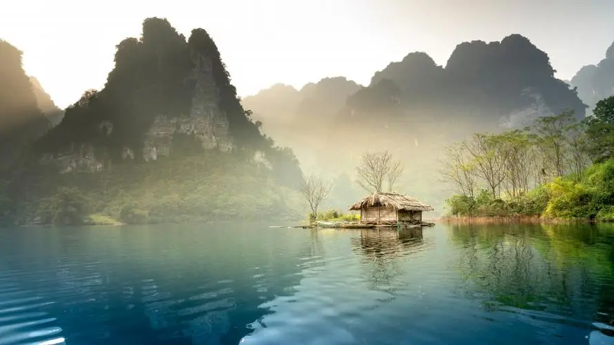 智能全自动